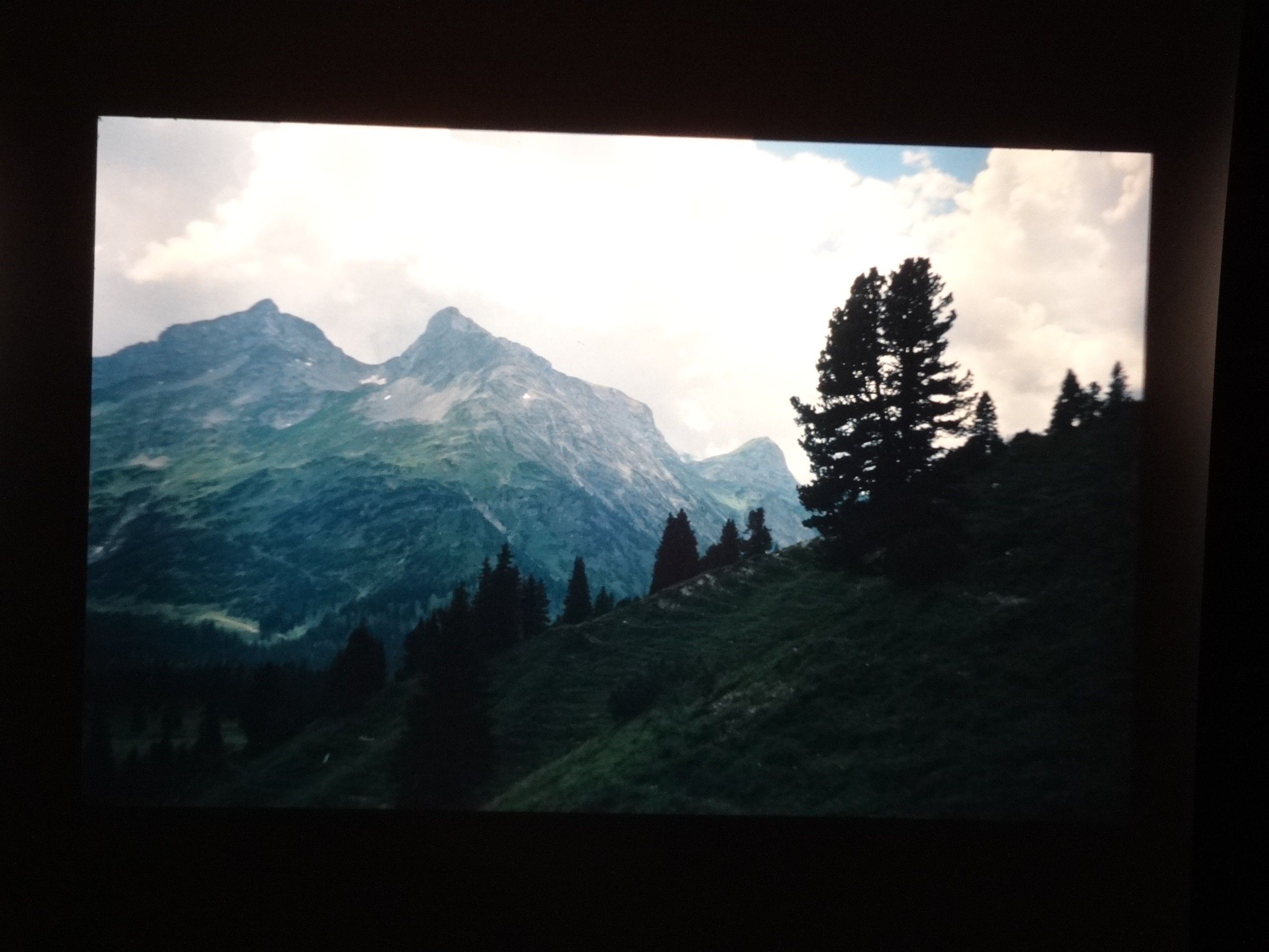 2002_warth260___von_Ordner___2001_2002dias_warth_blumen