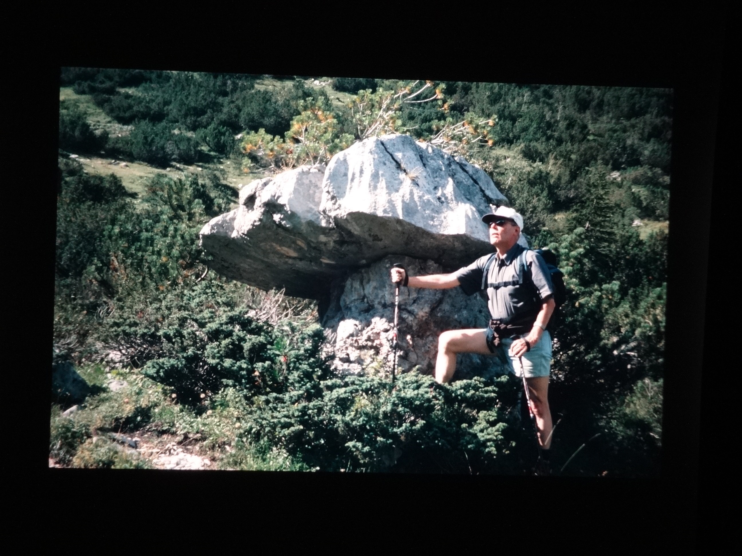 2002_warth270___von_Ordner___2001_2002dias_warth_blumen