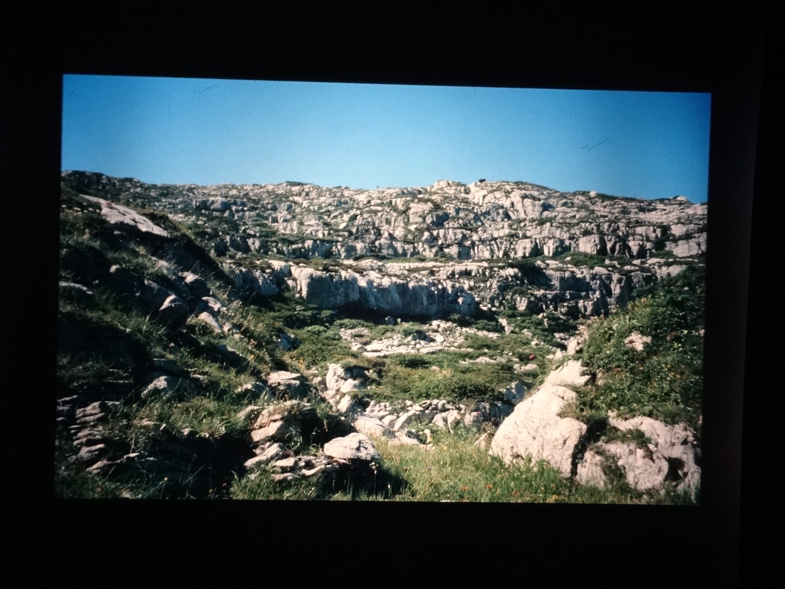 2002_warth280___von_Ordner___2001_2002dias_warth_blumen