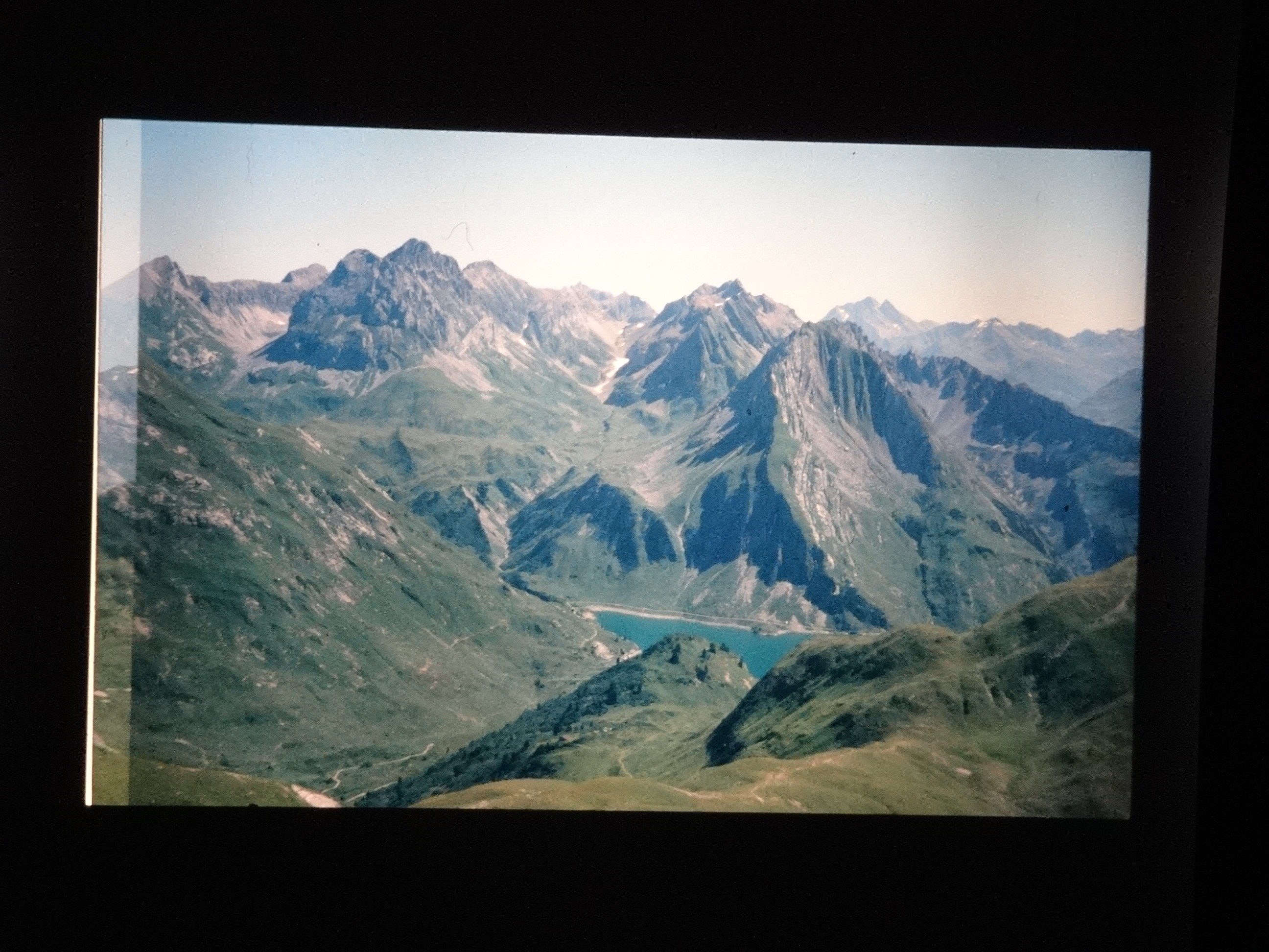 2002_warth290___von_Ordner___2001_2002dias_warth_blumen