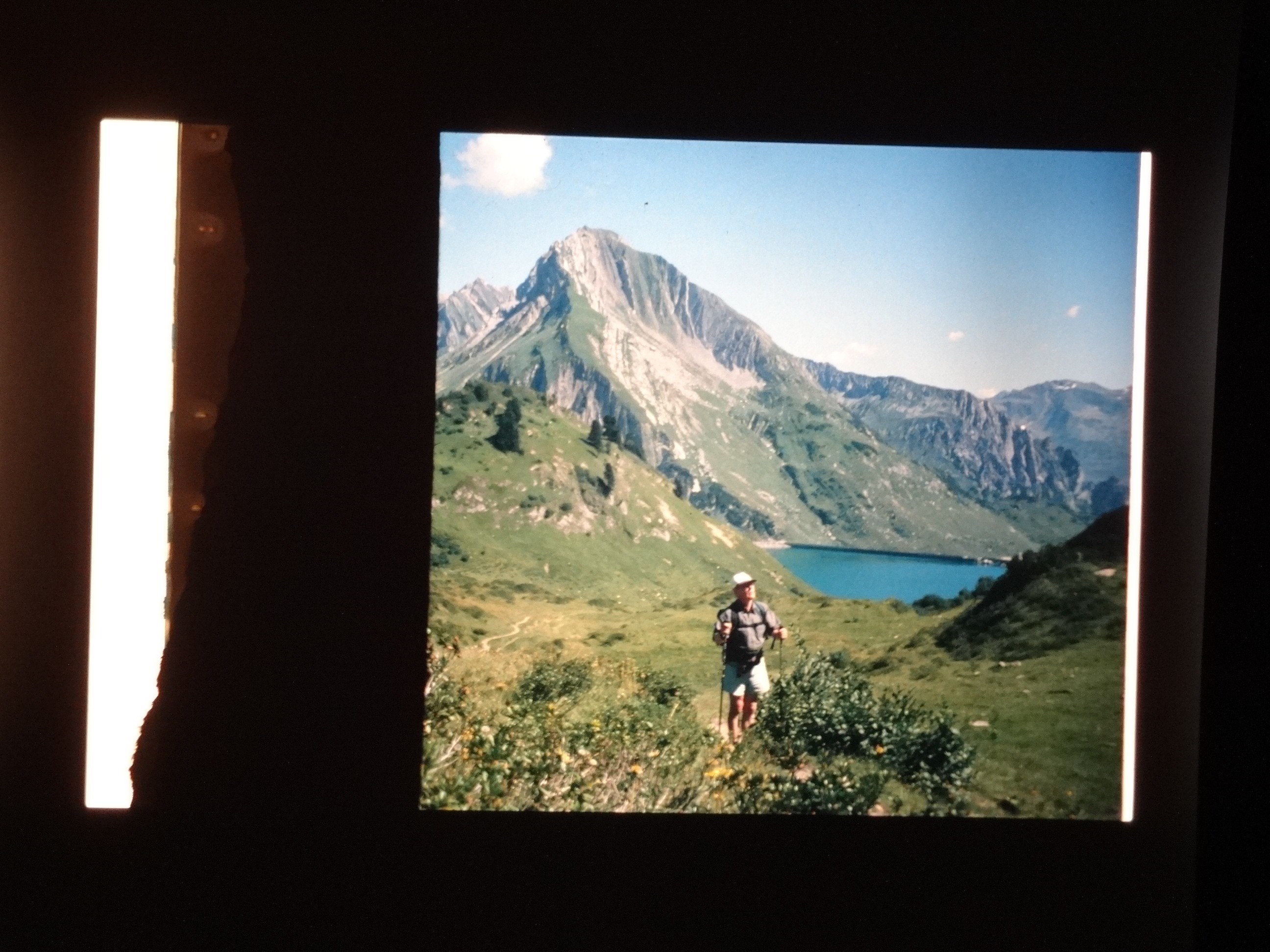 2002_warth300___von_Ordner___2001_2002dias_warth_blumen