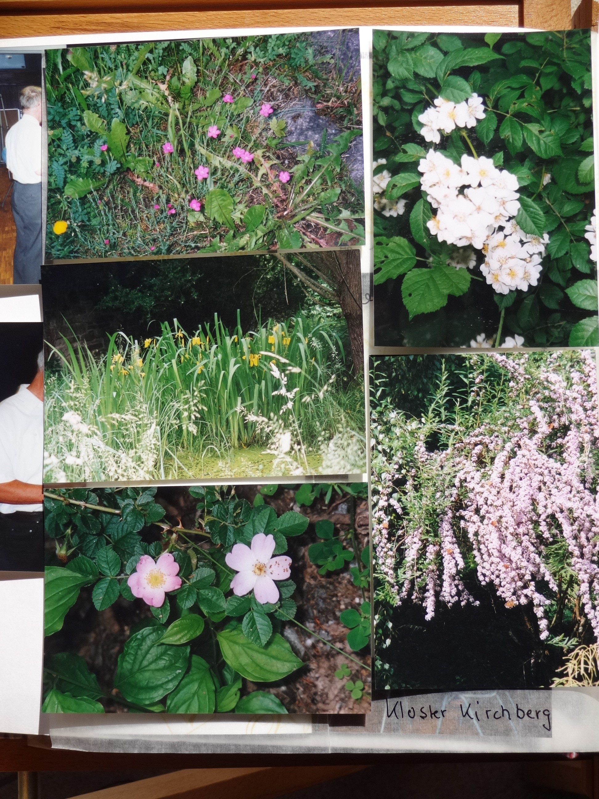 2003_160___von_Ordner___1997_2004