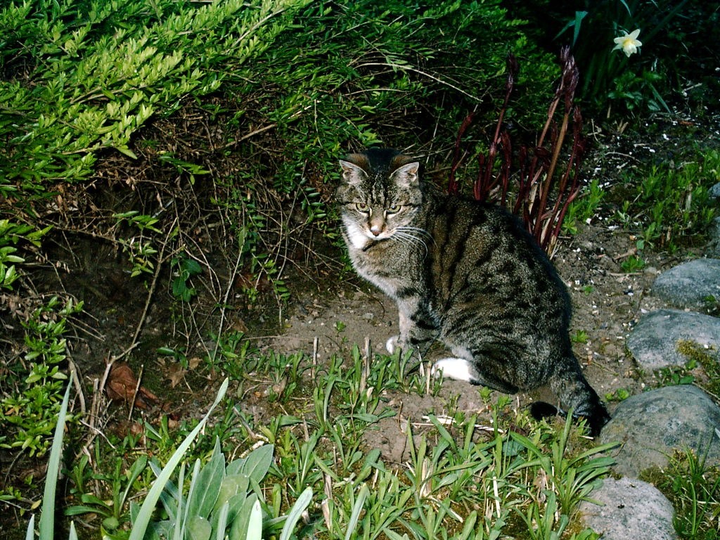 2004_07tina_april_2004_07