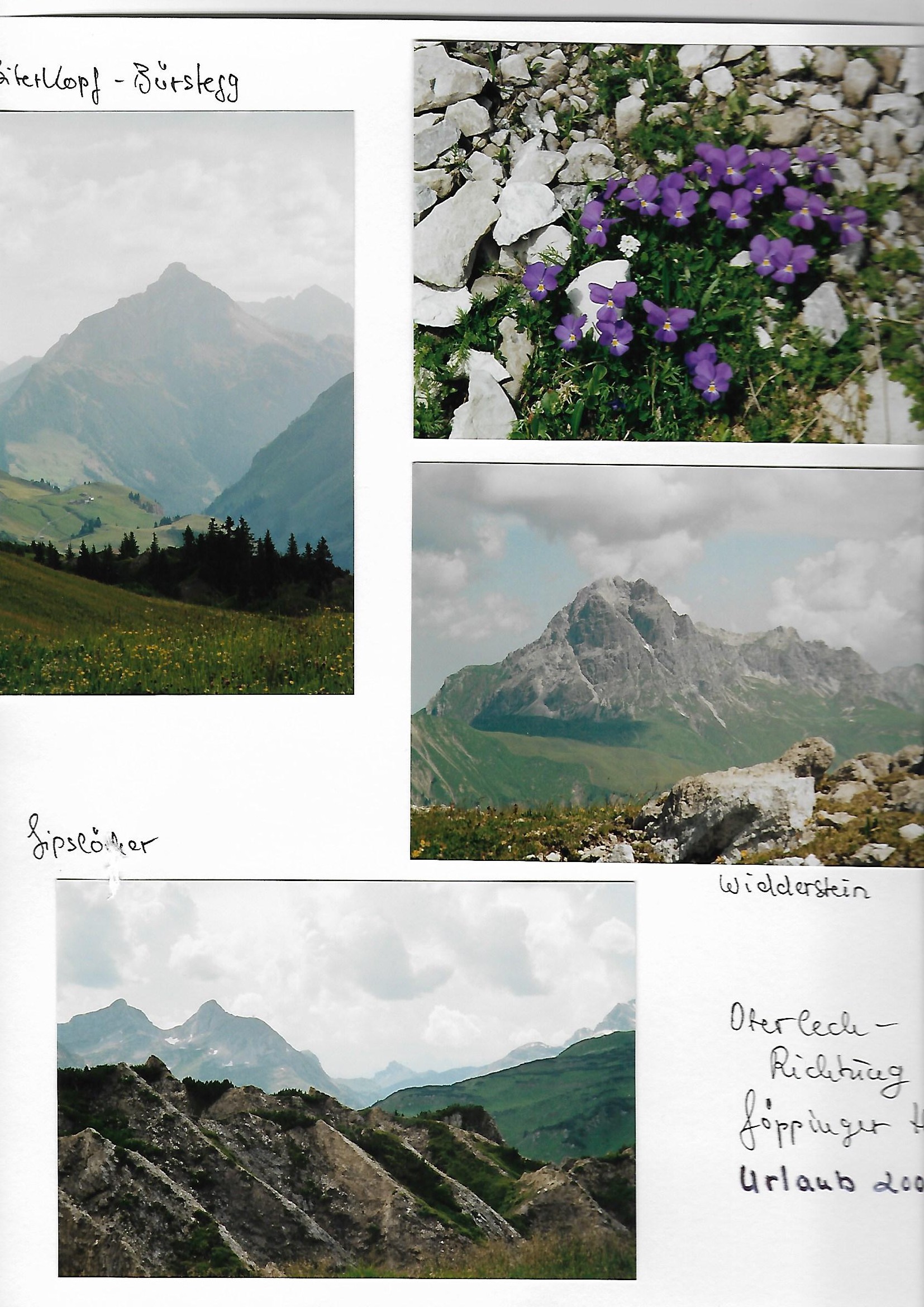 2004_080___von_Ordner___2004_2009