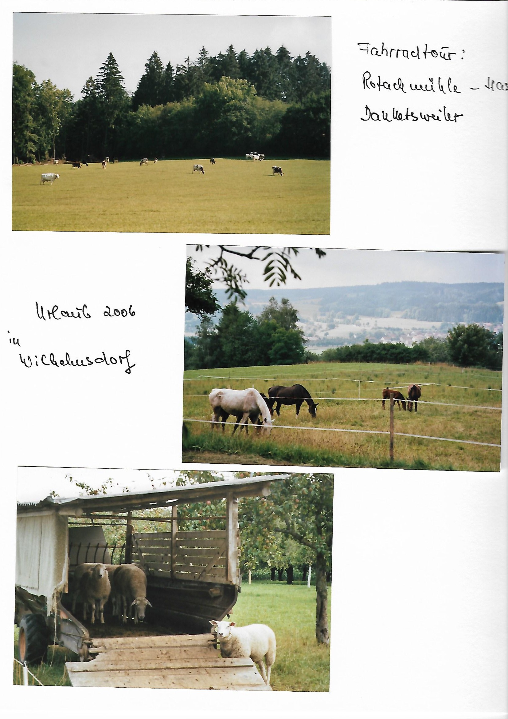 2006_110___von_Ordner___2004_2009