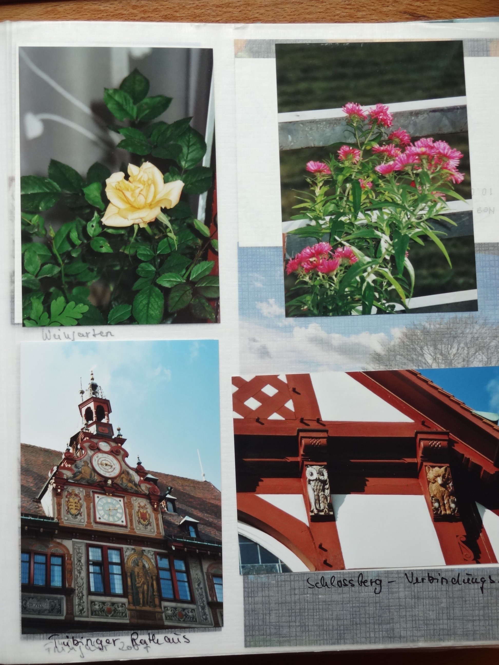 2006_230___von_Ordner___2004_2009