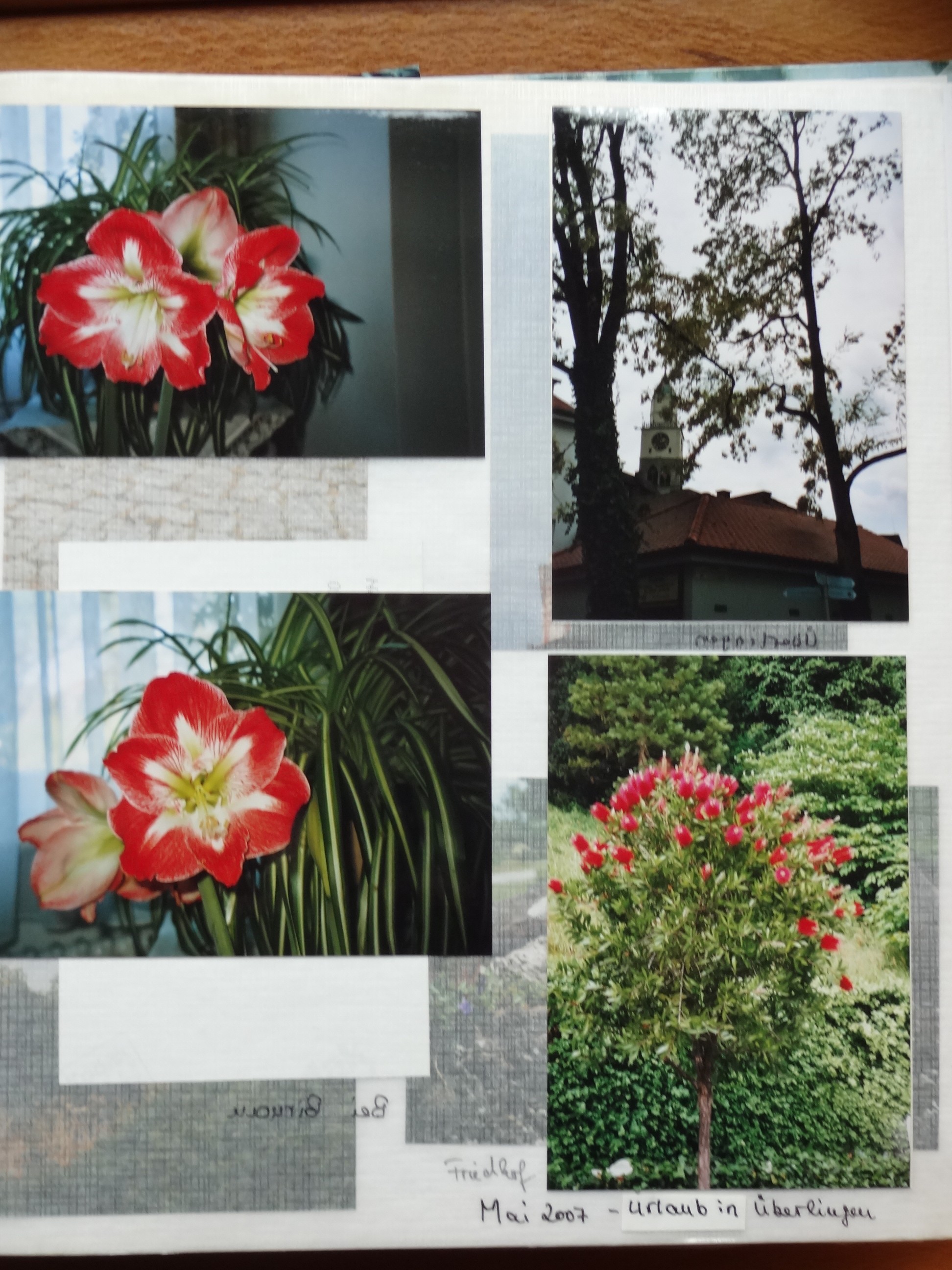 2006_270___von_Ordner___2004_2009