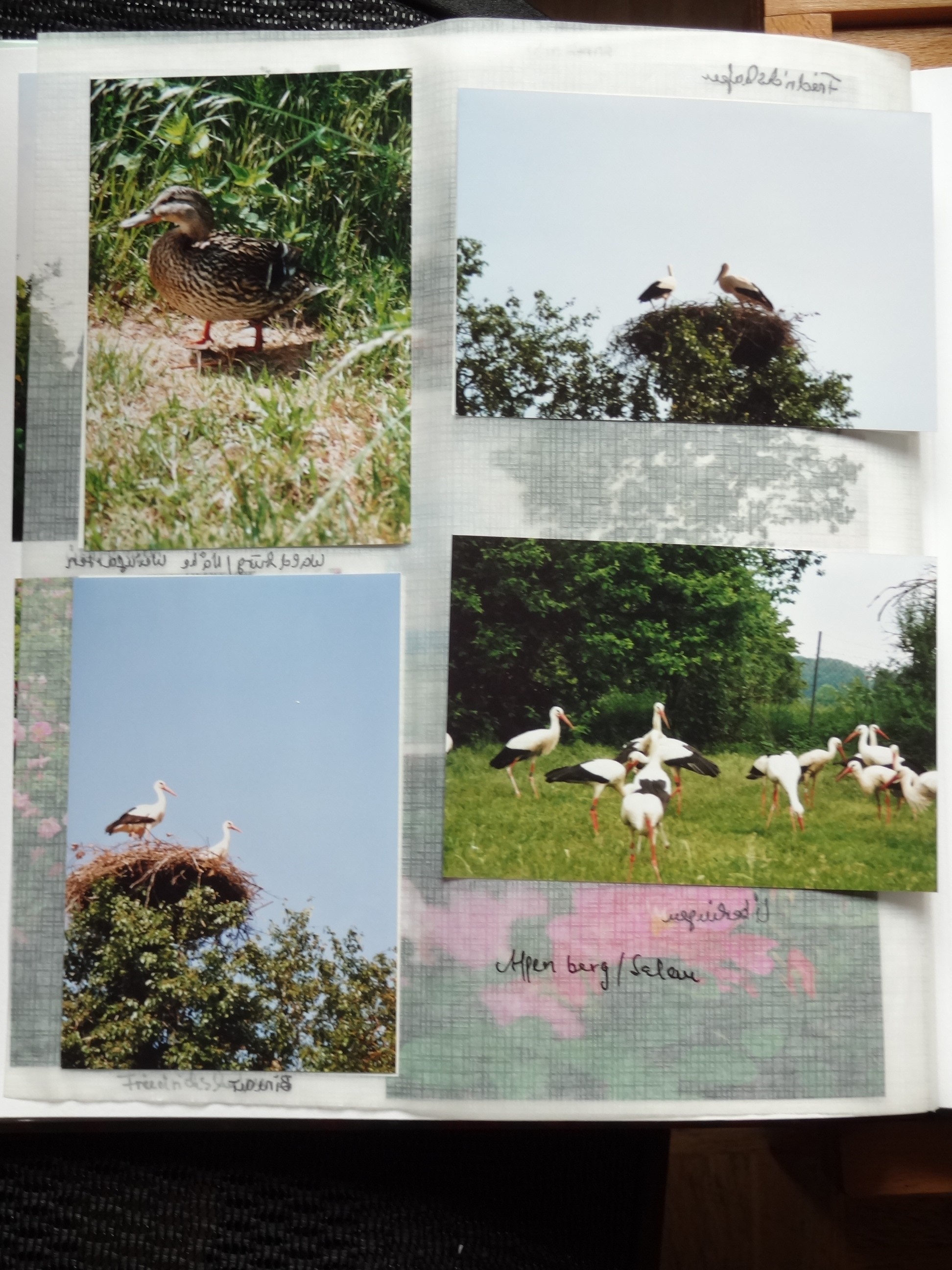 2006_320___von_Ordner___2004_2009