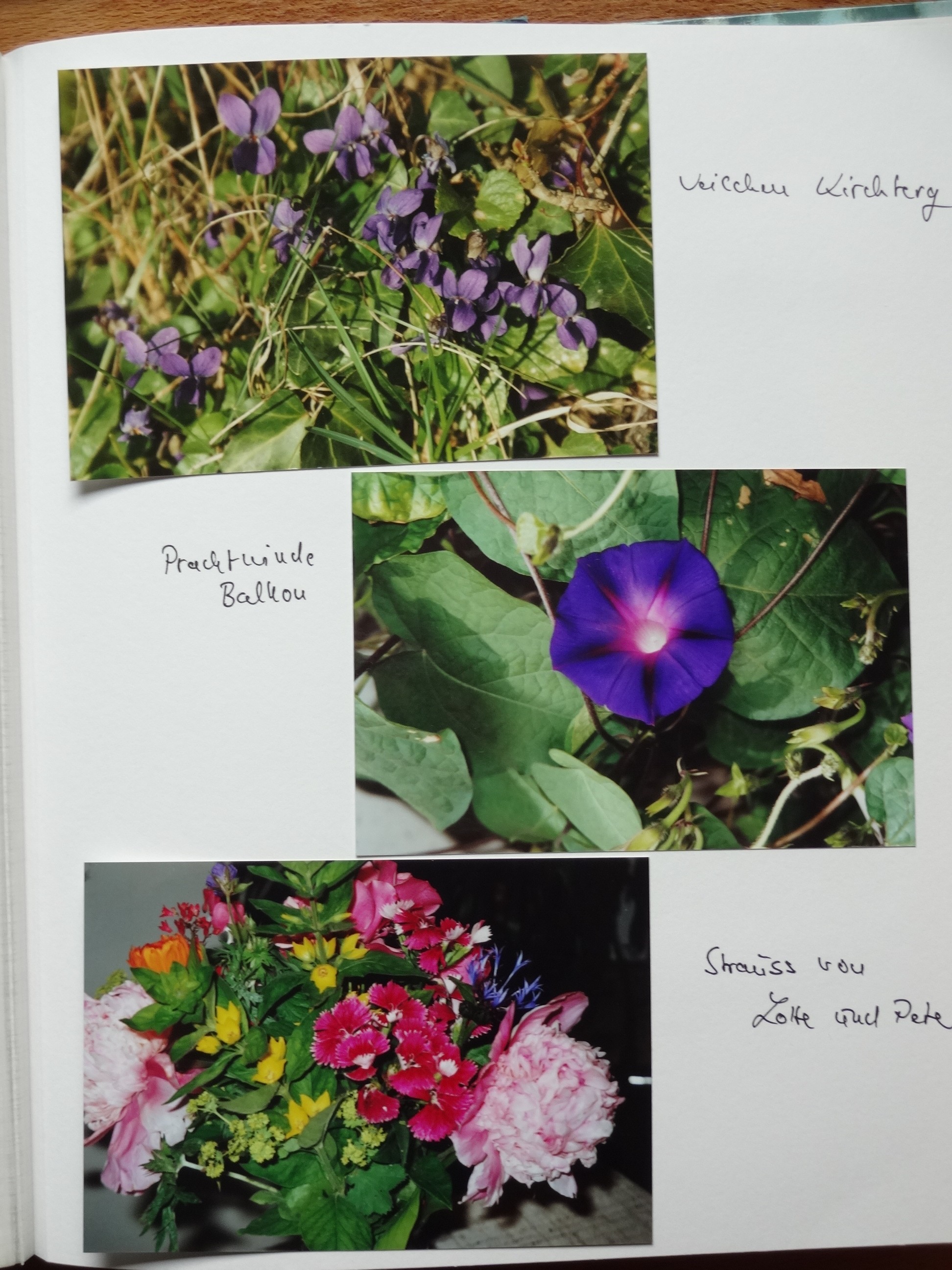 2007_080___von_Ordner___2004_2009