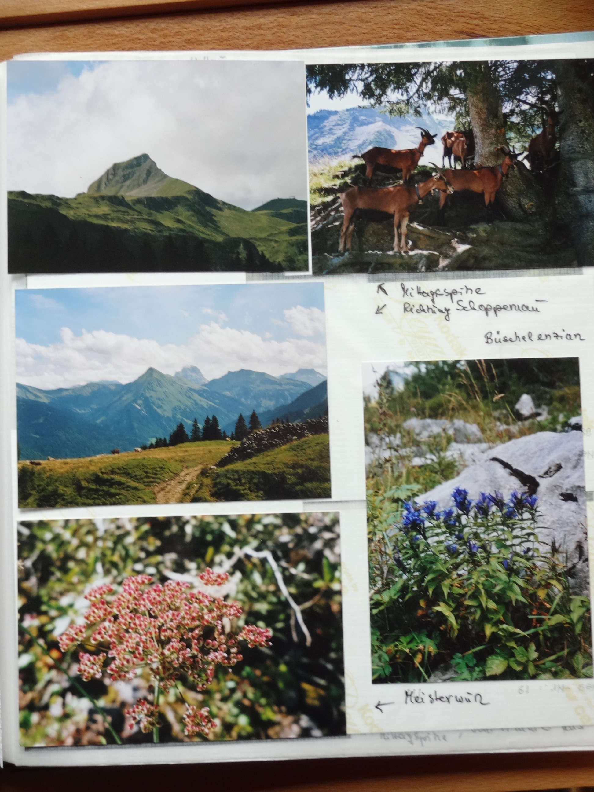 2007_140___von_Ordner___2004_2009