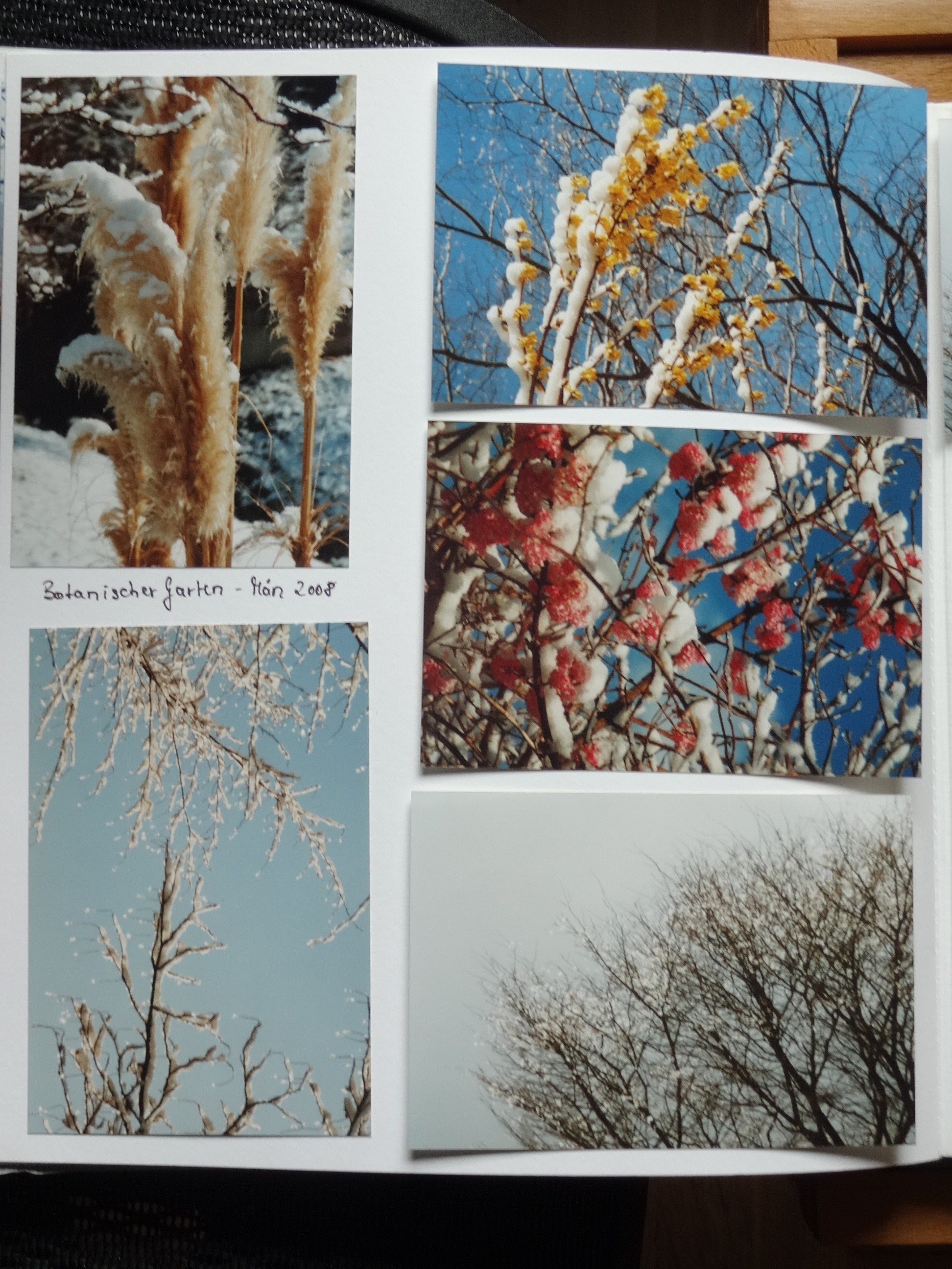 2008_010___von_Ordner___2004_2009