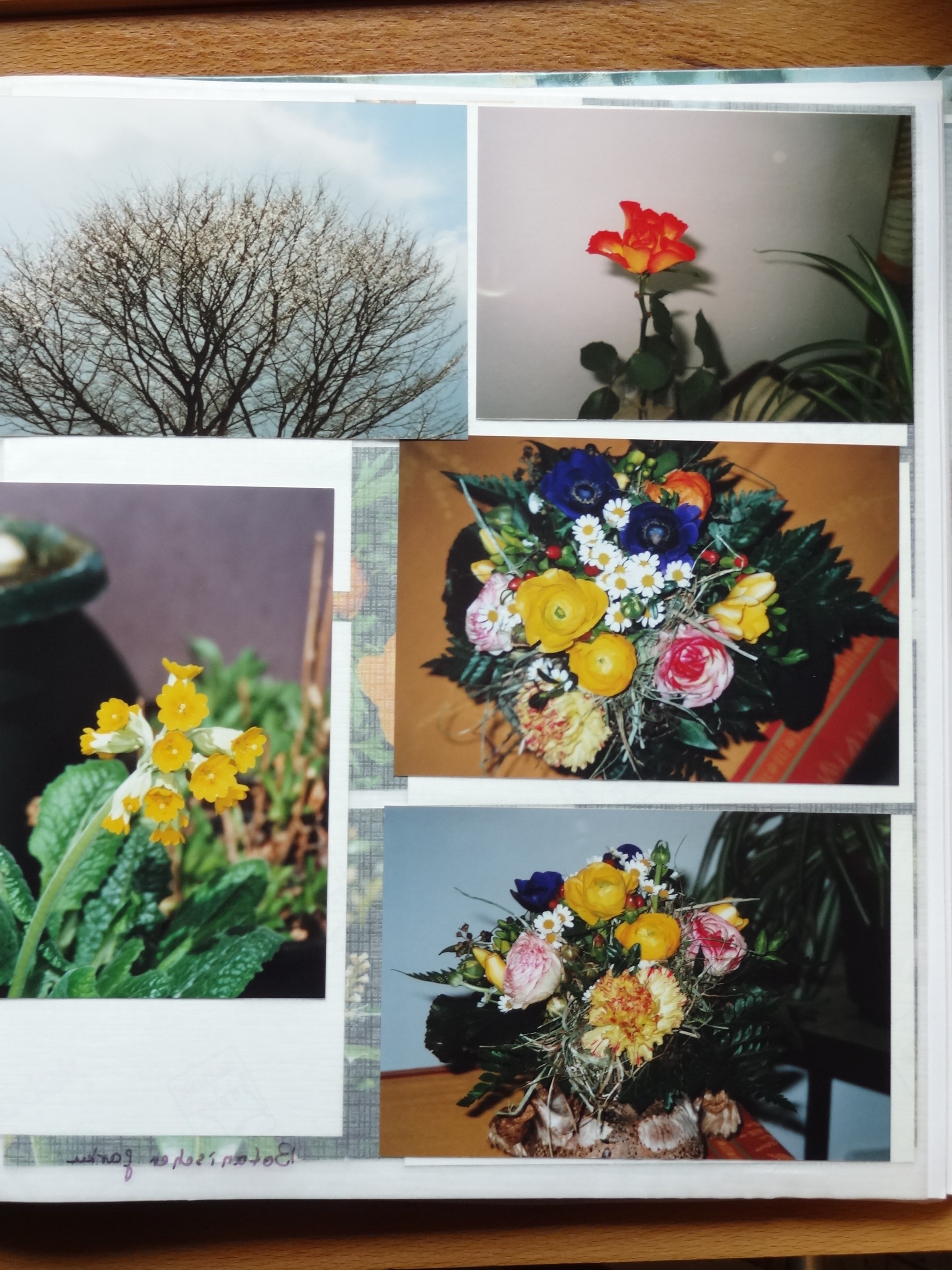 2008_020___von_Ordner___2004_2009