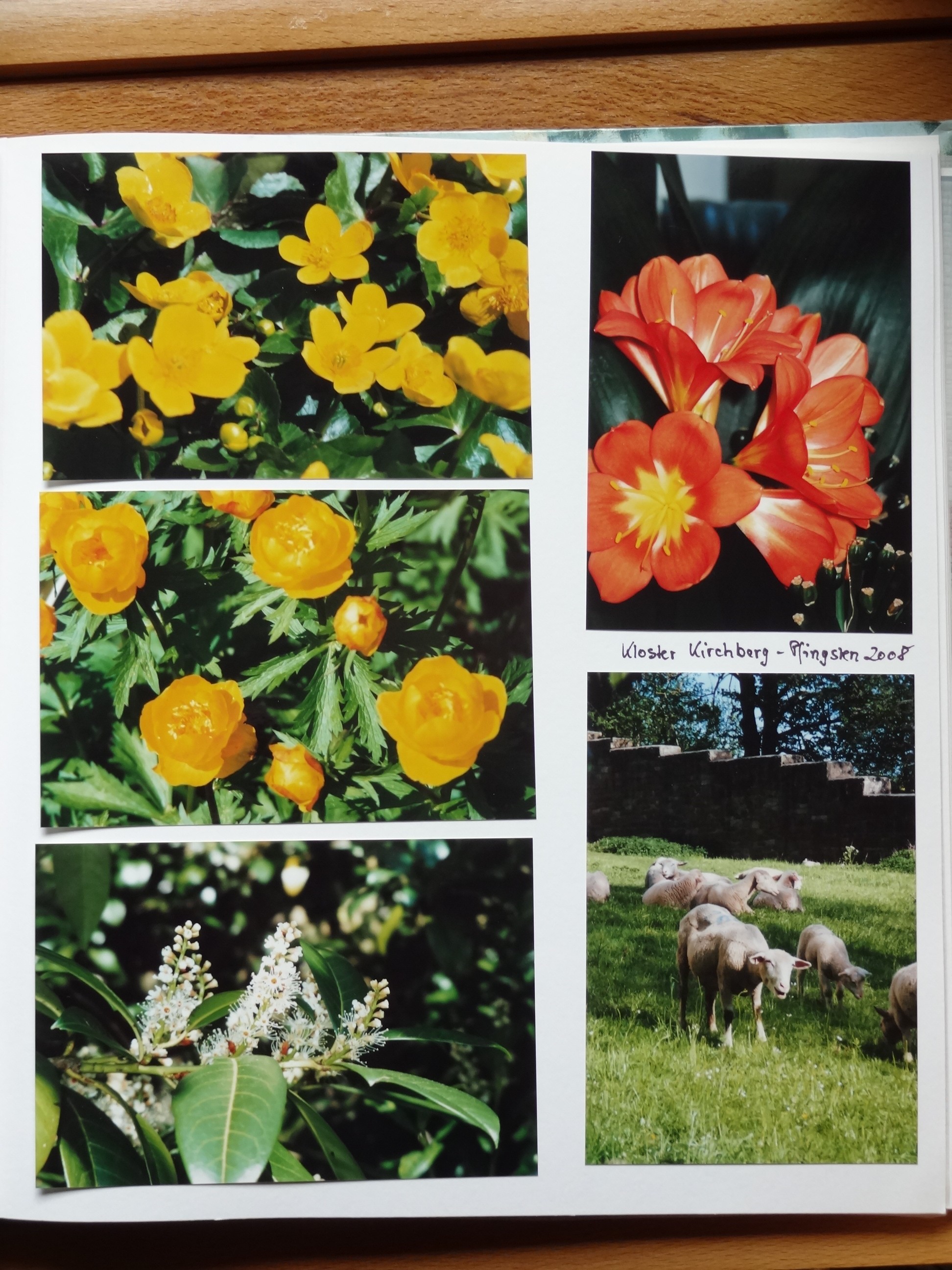 2008_040___von_Ordner___2004_2009