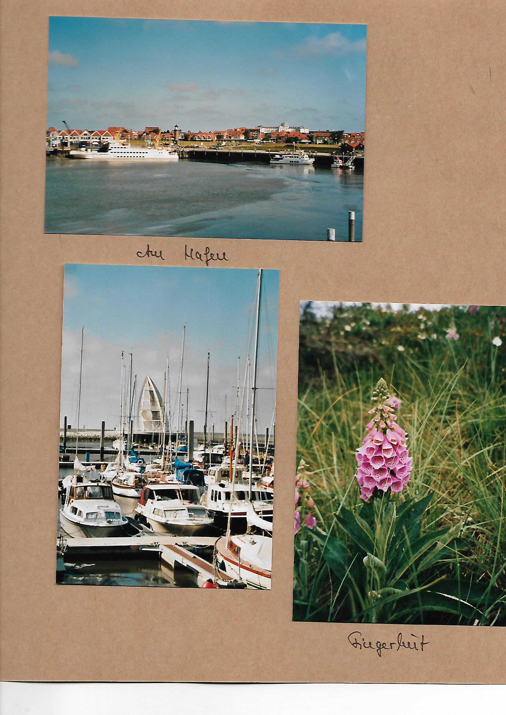 2010_060___von_Ordner___2009_2012album