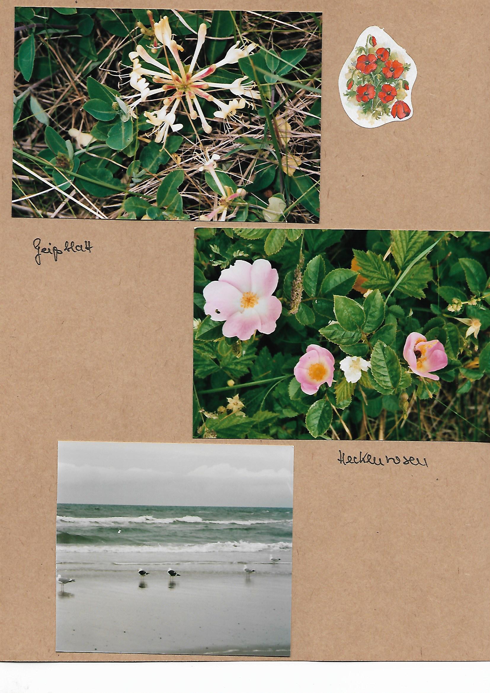 2010_070___von_Ordner___2009_2012album