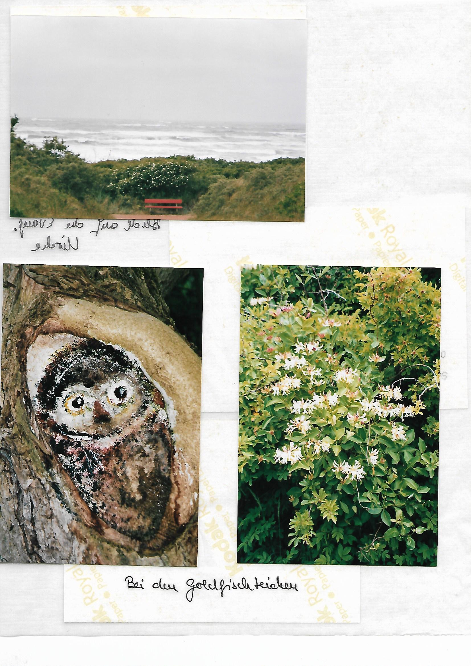 2010_080___von_Ordner___2009_2012album