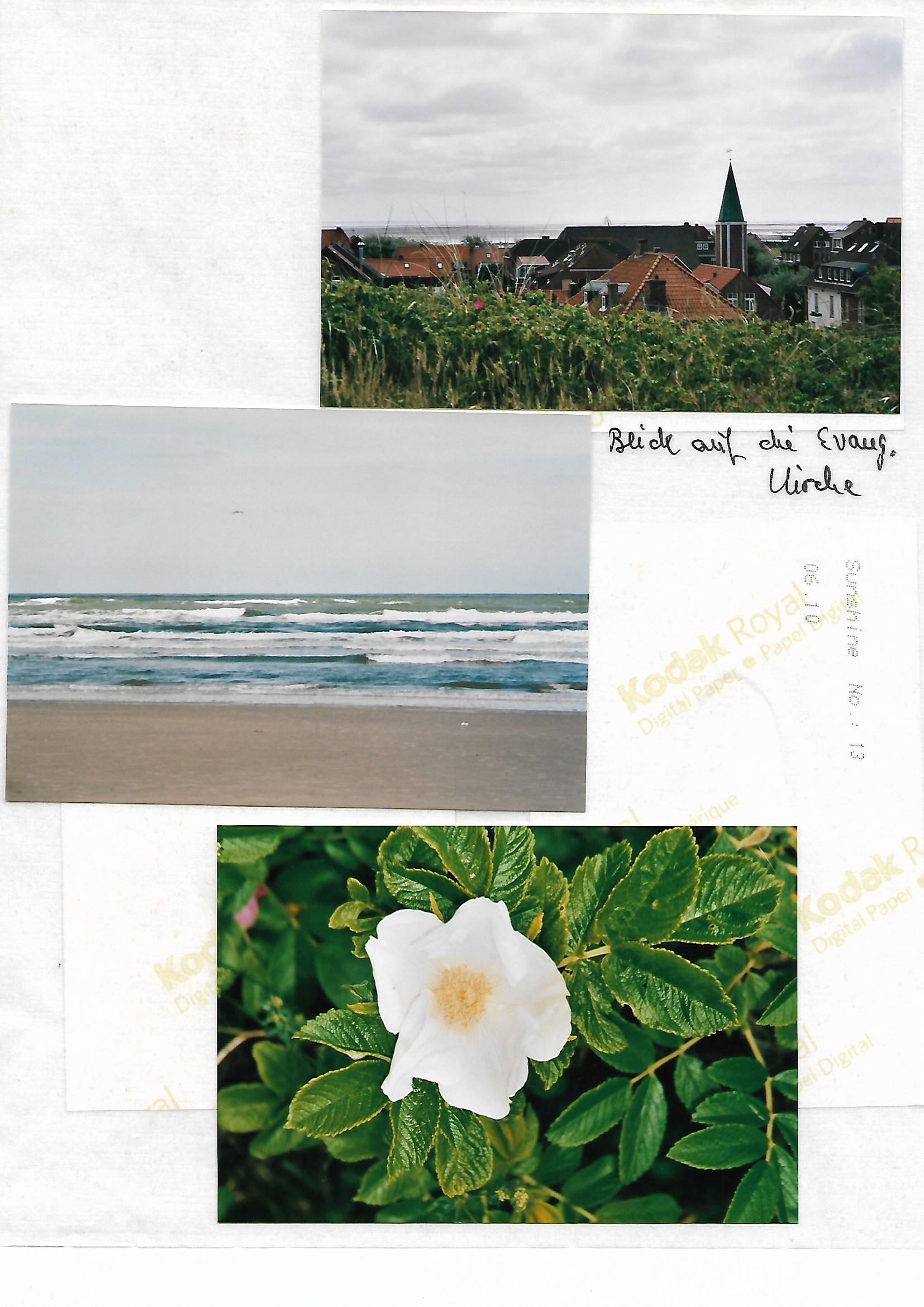 2010_090___von_Ordner___2009_2012album