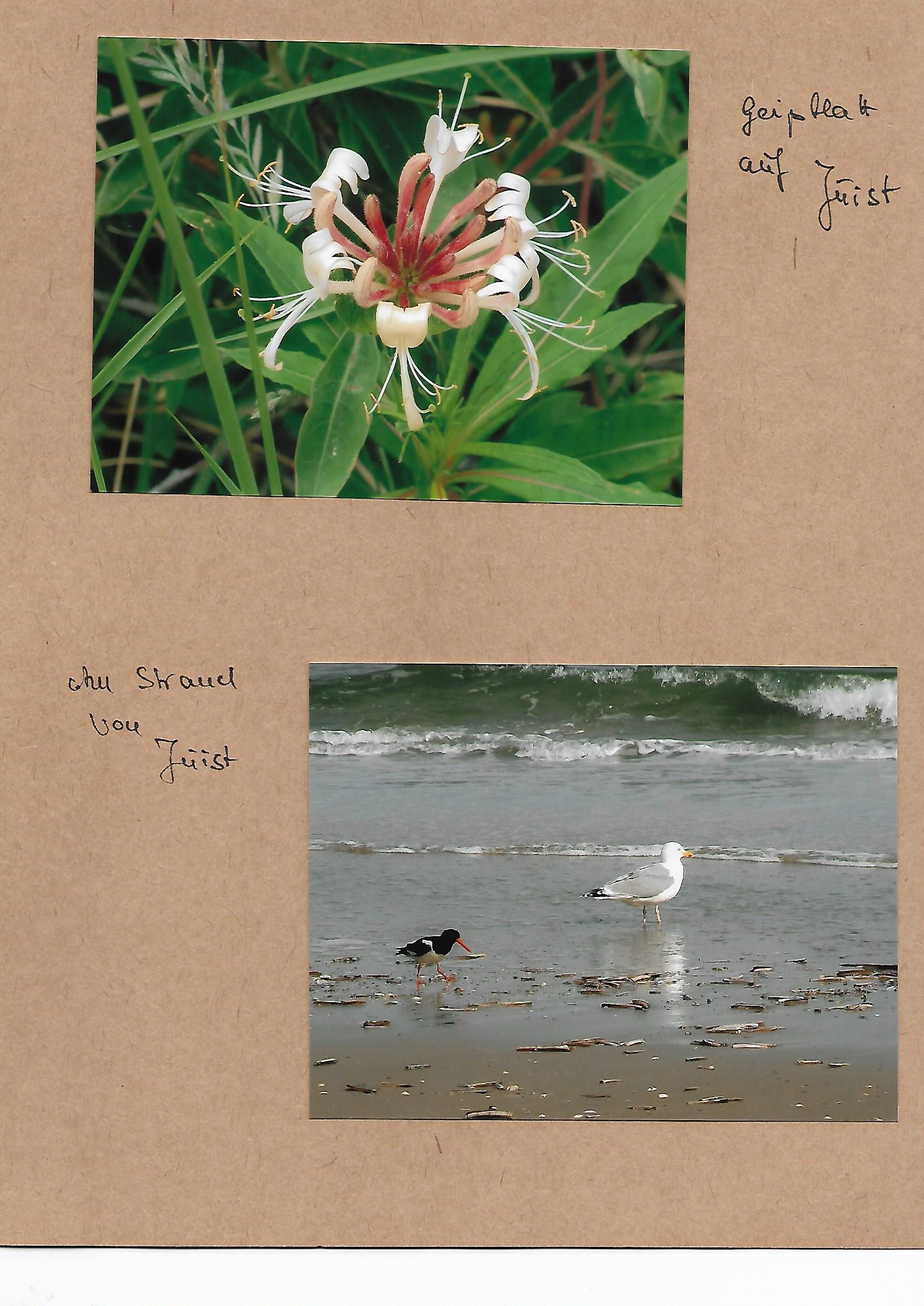 2010_110___von_Ordner___2009_2012album