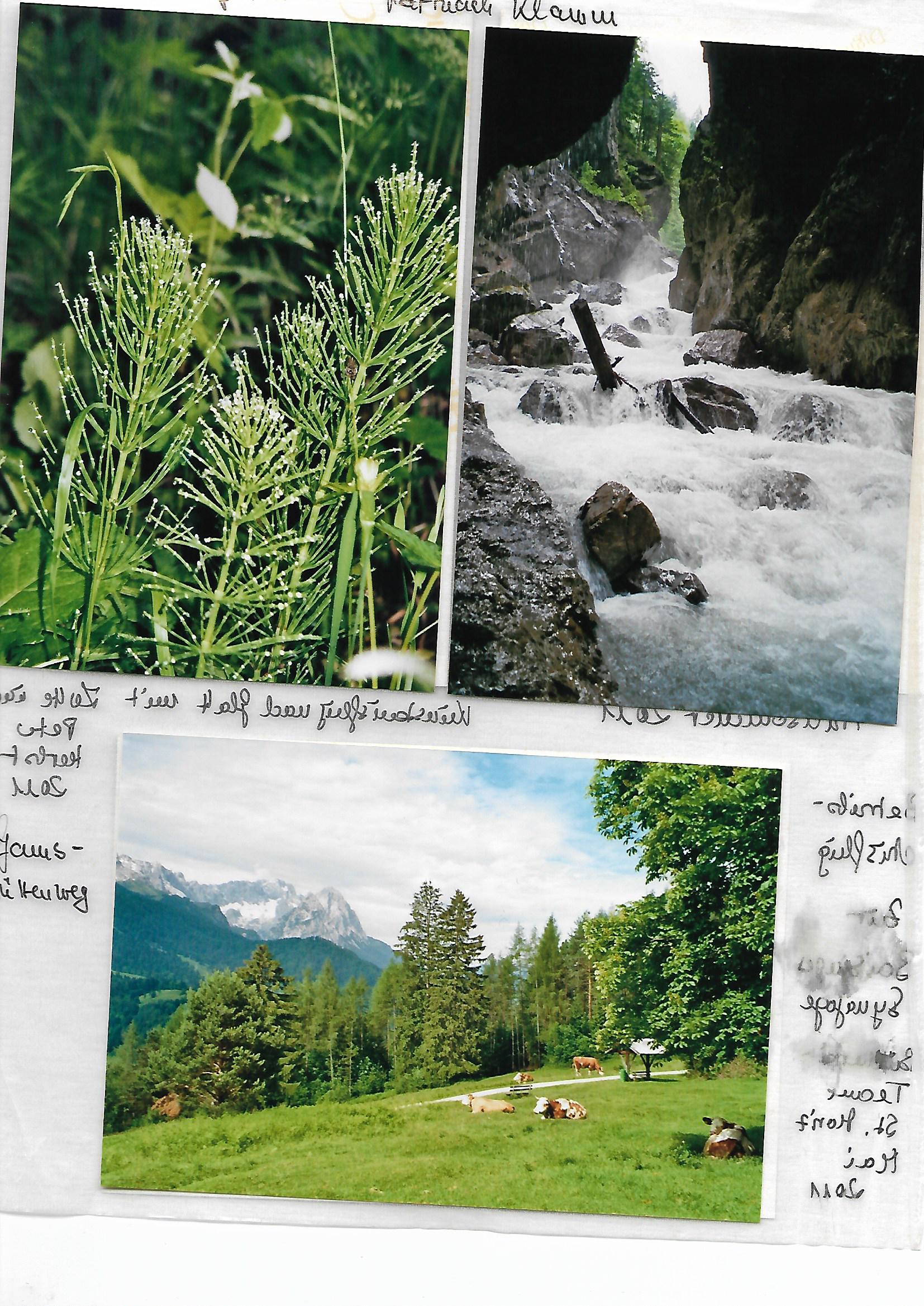 2011_050___von_Ordner___2009_2012album