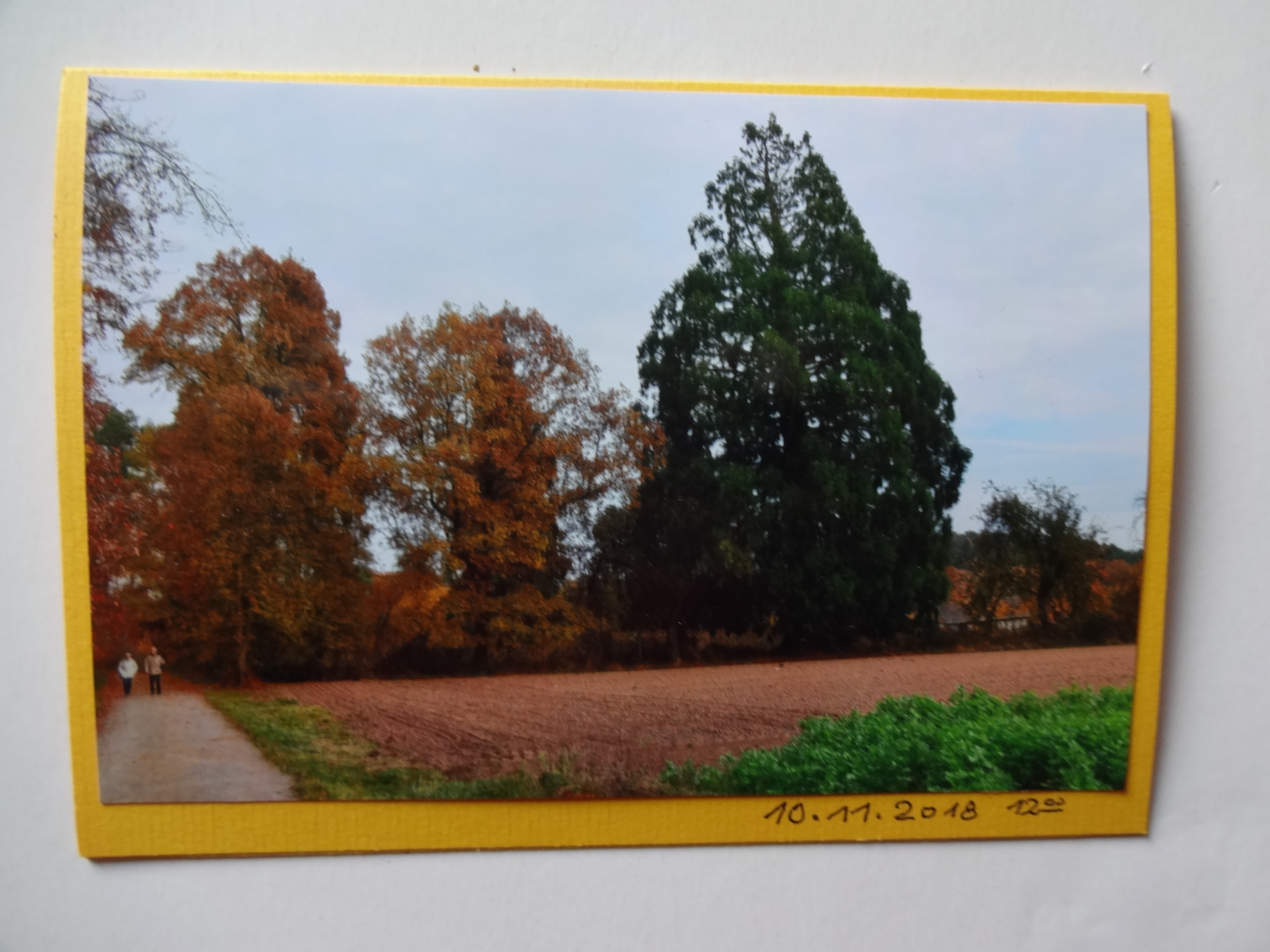 2018_12weihnachtsbriefe330