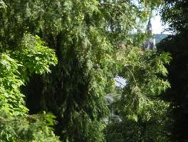 0stadtfriedhof_tuebingen080