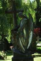 C_stadtfriedhof270