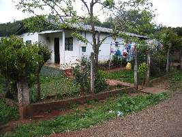 2008_10_01teutonia_442