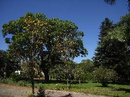 2008_10_03_leopoldo022