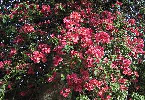 2008_10_08k_august027