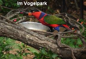 2008_10_14iguacu_011