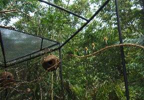 2008_10_14iguacu_014