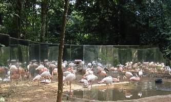 2008_10_14iguacu_015