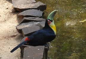 2008_10_14iguacu_016