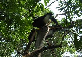 2008_10_14iguacu_019