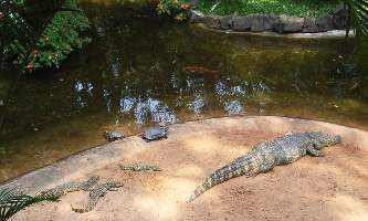 2008_10_14iguacu_020