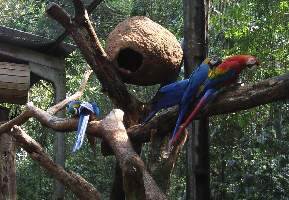 2008_10_14iguacu_029