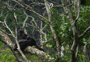 2008_10_15iguacu_016