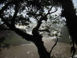 2008_10_15iguacu_036