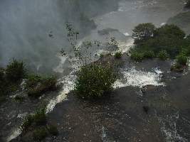 2008_10_15iguacu_100