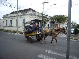 2008_10_18saoleop049