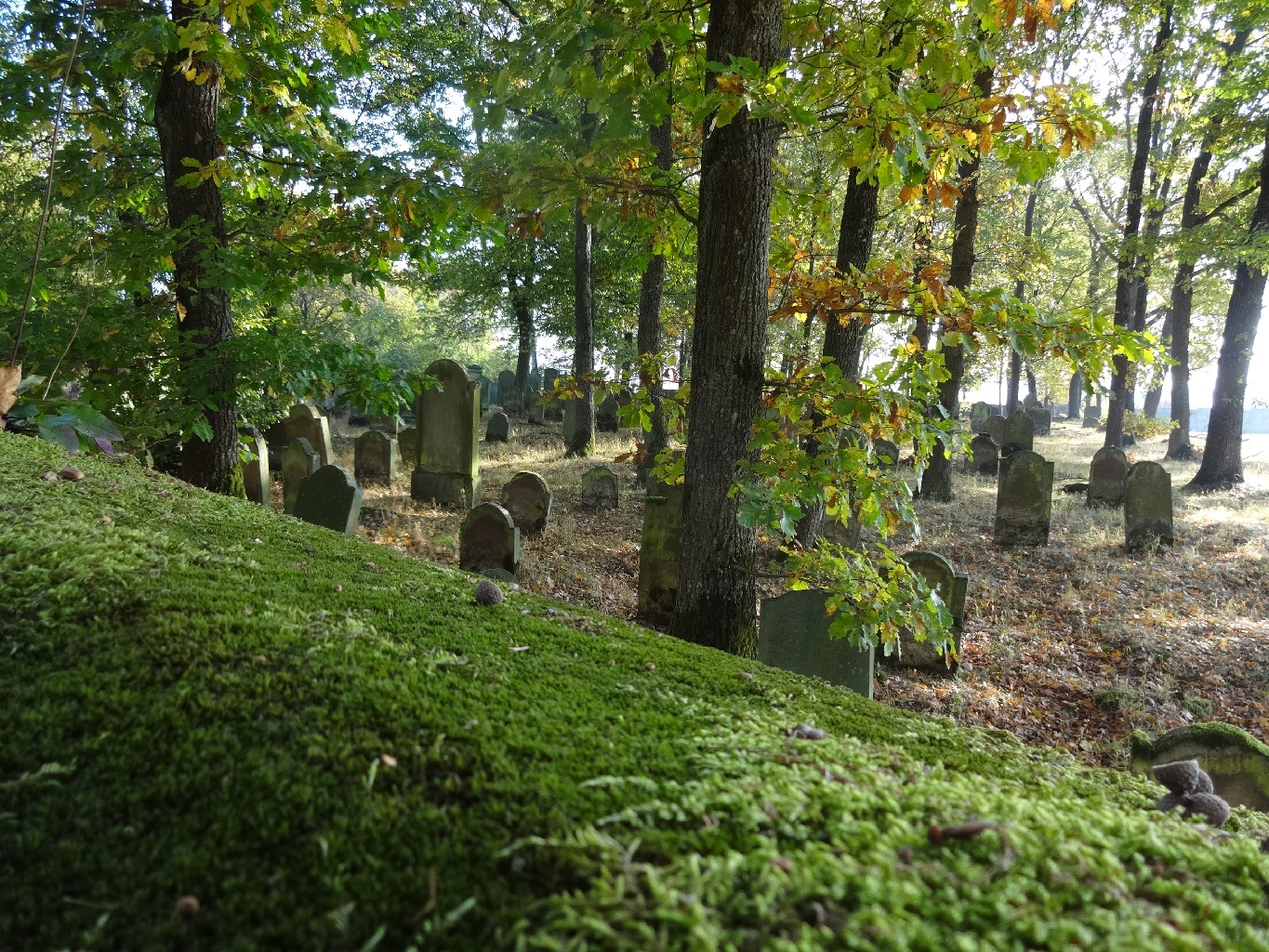 i_creglingen_juedischer_friedhof30.jpg