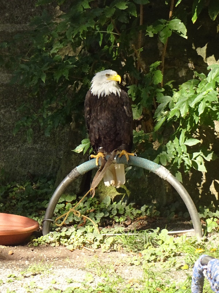 2024_09_21schillingsfuerst090z