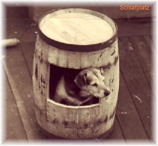 haas_schlafplatz