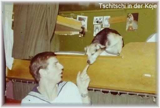 haas_tschitschi_in_der_koje