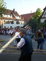 01_maibaum1