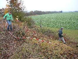 Landschaftspflege02