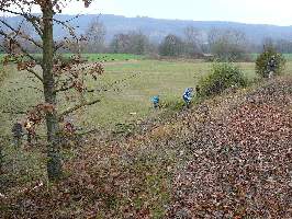 Landschaftspflege03