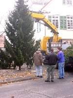 2011weihnachtsbaum040