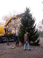 2011weihnachtsbaum060