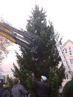 2011weihnachtsbaum070